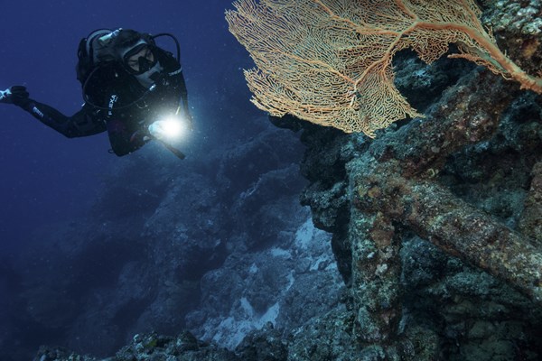 le canyon, un paradis pour les photographes sous-marins