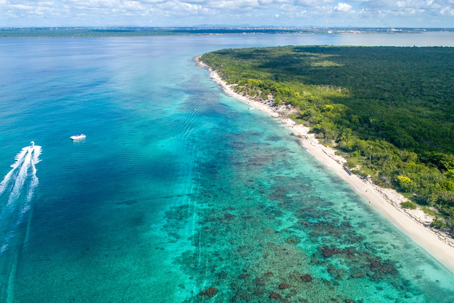 Ile Catalina