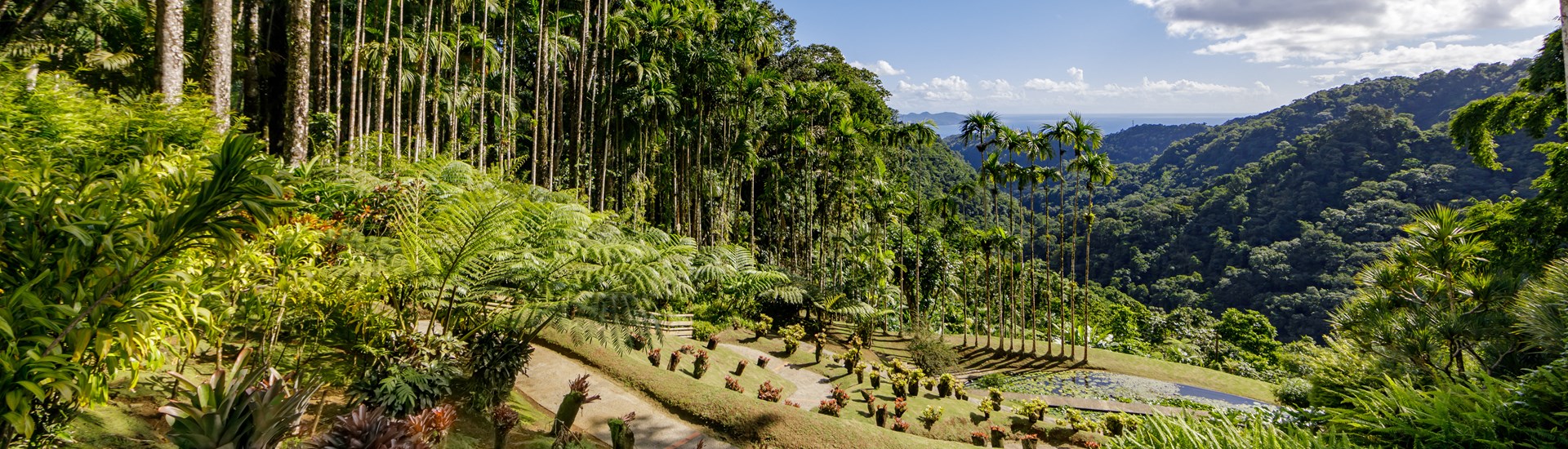 Le Jardin de Balata en Martinique