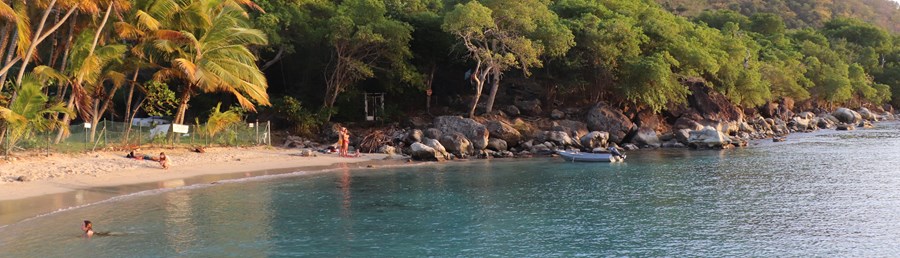 Quelles sont les plus belles plages de Guadeloupe ? Notre Top 10 !